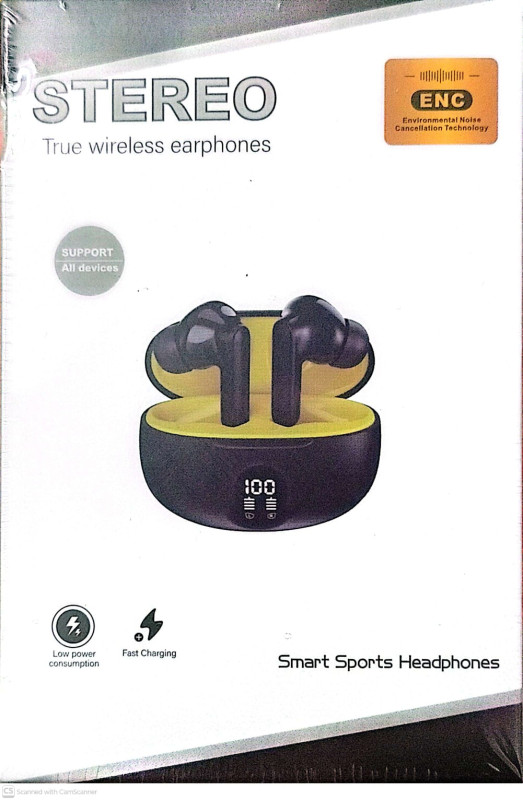 true wireless stereo tws